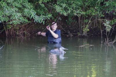 Fischreiher verfaengt sich in einem Angelhaken und muss gerettet werden, am Beutwangsee in Nuertingen Neckarhausen